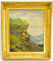 E. GRAY; a late 19th/early 20th century oil on canvas depicting mountainside scene, with hills in