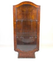 An early 20th century mahogany single-door display cabinet with domed top, astragal glazed door,