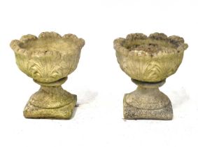 A pair of reconstituted stone urns of small proportions, on square bases, height of each 32cm,