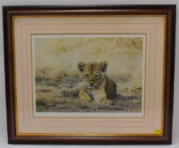 † STEVEN TOWNSEND (British, born 1955); a limited edition print, no.376/500, lion cub, signed in