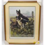 † STEVEN TOWNSEND (British, born 1955); a limited edition print, no.302/660, two working collie dogs