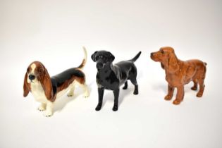 BESWICK; three dogs comprising black Labrador marked to back foot, 'Solomon of Wendover', a red-