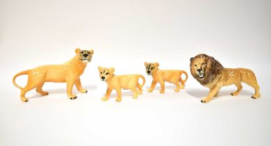 BESWICK; a family of lions comprising male, female and two cubs (4).