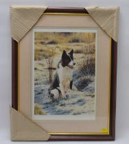 † STEVEN TOWNSEND (British, born 1955); a limited edition print, no.422/450, seated collie dog in