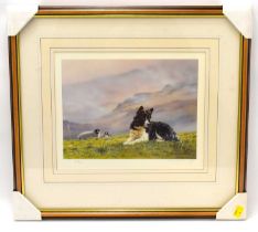 † STEVEN TOWNSEND (British, born 1955); a limited edition print, no.274/350, collie dog with sheep