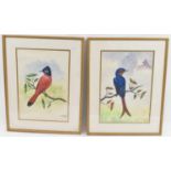 CBS DANGOL; a pair of 20th century watercolours depicting exotic birds on trees, signed and dated