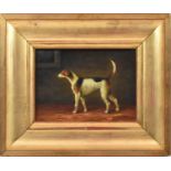 X G PASSE; oil on board, study of a hound, 12 x 17cm, in gilt frame.