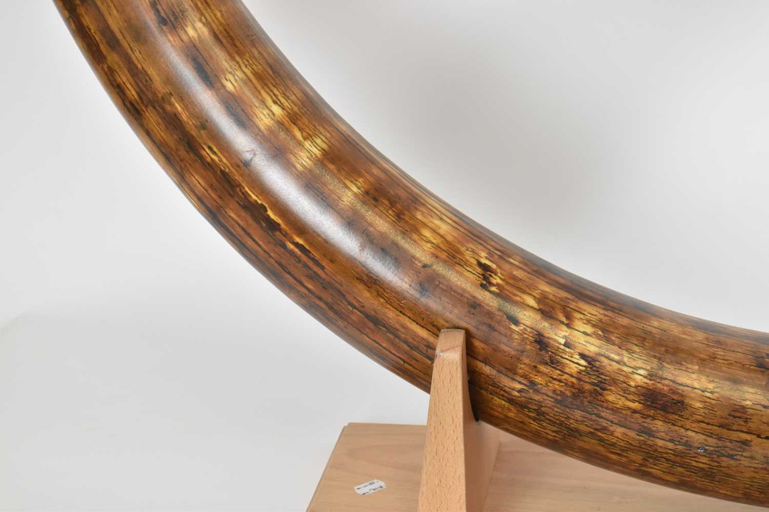 NATURAL HISTORY; a woolly mammoth tusk (Mammuthus primigenius), 8000BC or earlier, length 212cm, - Image 3 of 8