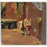 X PAUL RICHARDS (born 1949); oil on canvas, study of a lion, 60 x 60cm
