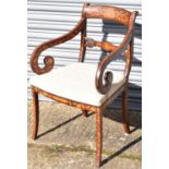 A marquetry inlaid carver dining chair with cream upholstered seat.