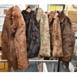 Five various fur jackets.