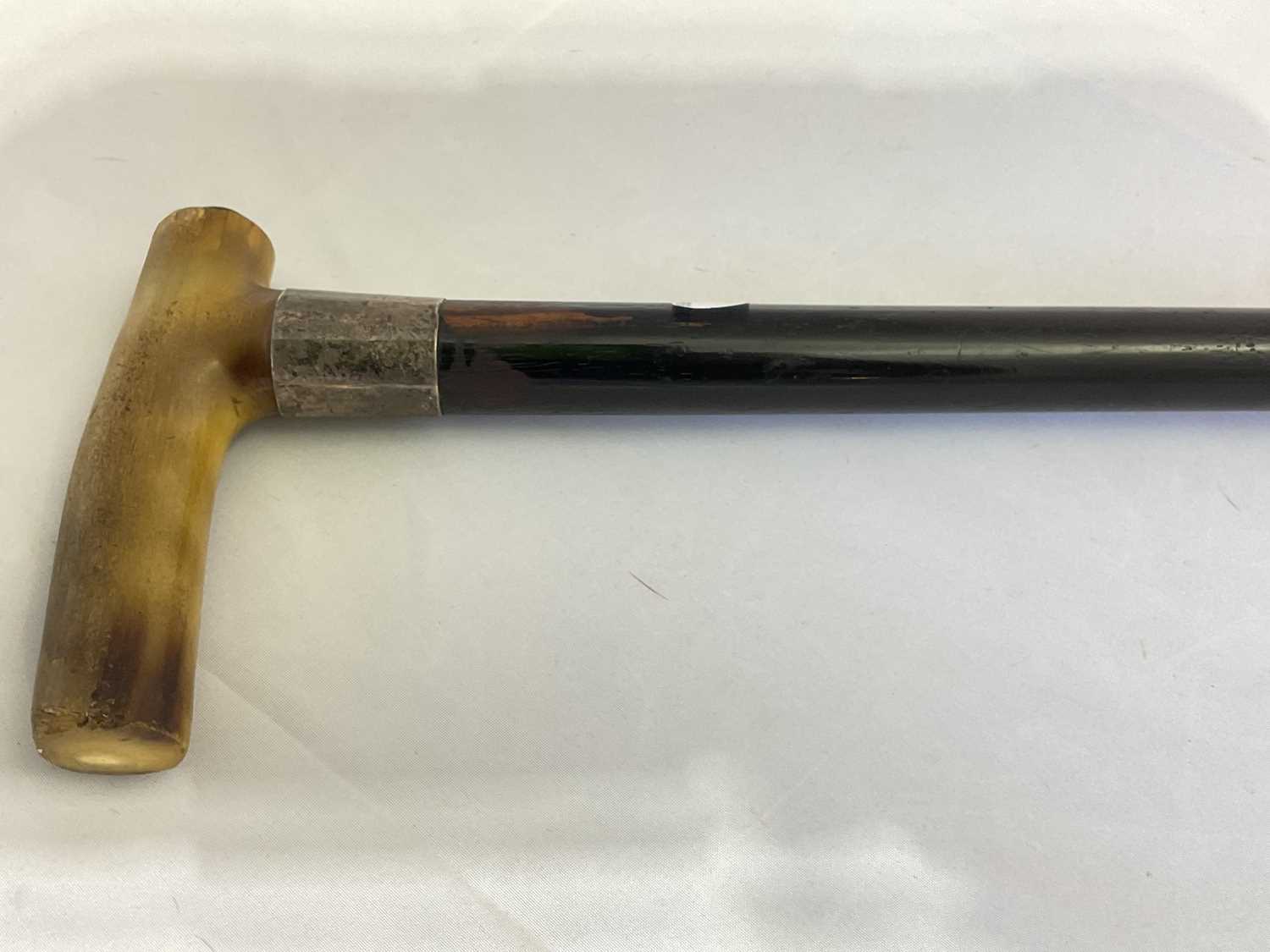 A early 20th century walking stick with horn handle, silver band and ebonised tapering shaft, length - Image 2 of 5