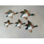 BESWICK; a set of five wall mounted flying ducks, 596/0,1,2,3 & 4.