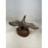 A carved wooden duck on simple sliced log section 57cm W x 43cm D approx.