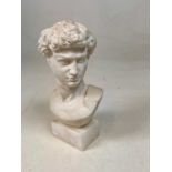 AFTER PROFESSOR BESSI; a small bust of David mounted on a white alabaster base, height 25cm.