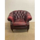 A contemporary oxblood leather button upholstered tub chair raised on ring turned front legs to
