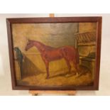 MID 19TH CENTURY ENGLISH SCHOOL; oil on canvas, study of a racehorse in stable, 40 x 50cm, framed.