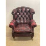 A contemporary oxblood leather button upholstered armchair raised on turned front legs to brass