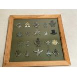 A framed and glazed display of Gurkha Regiment cap badges.