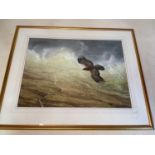 OWEN WILLIAMS (born 1956); large watercolour, 'Golden Eagle Over Glenbruar, Perthshire', signed,