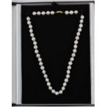 A cultured pearl necklace with 9ct yellow gold clasp, boxed.