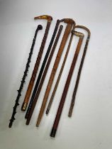 A collection of eight walking sticks, including briar wood, a hallmarked silver collar, carved