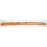 A butterscotch amber graduated bead necklace, length approx. 64cm, approx. 29.4g.