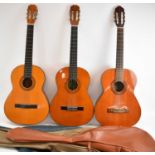Three assorted modern acoustic guitars.