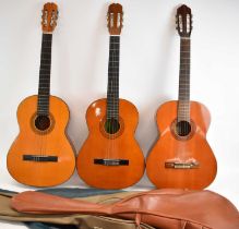 Three assorted modern acoustic guitars.
