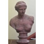 A large terracotta bust of Venus de Milo, height 84cm (af). Condition Report: Significant damage