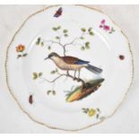 MEISSEN; a late 19th century hand painted plate, decorated with single bird amongst foliage,