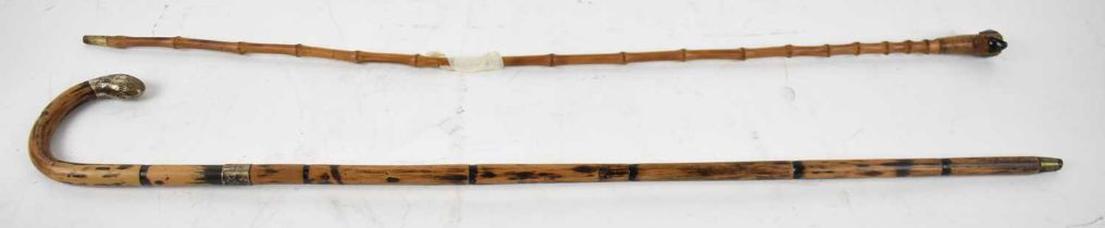 A silver mounted bamboo walking stick and a cane with dog head (af). Condition Report: The cane