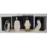 ROYAL CROWN DERBY; four boxed paperweights of birds. Condition Report: all have silver stoppers.
