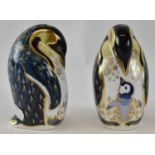 ROYAL CROWN DERBY; a pair of penguin and chick paperweights, one with gold seal and one with