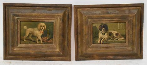 UNATTRIBUTED; a pair of small oils on panel depicting dogs, unsigned, 8 x 13cm, in gilt frames.