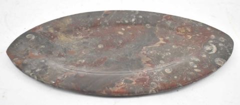 An oval tray made up of ammonite fossils, 37.5 x 23cm.