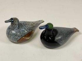 OIVA TOIKKA, FINLAND FOR IITTALA; two studio glass birds, signed to base Nuutajarvi, male and female