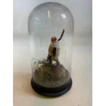 A vintage taxidermy goldfinch in naturalistic setting under glass dome on wooden stand.Dimensions: