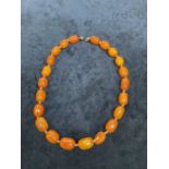 An early 20th century egg yolk/butterscotch amber hand tied bead necklace, length 47cm, largest bead