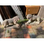 A pair of reconstituted stone lions on rectangular plinth bases, length 70cm.