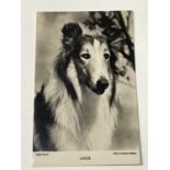 ELIZABETH TAYLOR; a black and white promotional card from the film 'Lassie' bearing the signatures