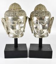 A pair of chromed Buddha heads, each on black plinth base, height 58cm.