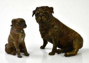 AFTER GESCHUTZT; a cold painted bronze model of a seated pug with applied foundry seal, height