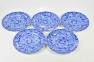 A group of five blue and white transfer plates, stamped 'Cauldon Place, England'.