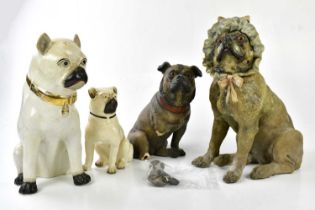 A late 19th century Austrian cold painted terracotta model of a pug wearing a bonnet, height 40cm, a