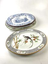 Five 19th century meat plates including a Worcester example decorated with an exotic bird in