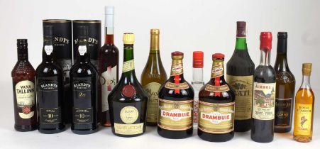MIXED SPIRITS; eleven bottles and two half bottles of mixed spirits including two bottles of