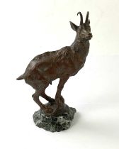 A late 19th century bronze figure of an ibex, set on a damaged green marble base, height 21cm.