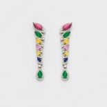 Paar elegante Multicolor-Ohrgehänge