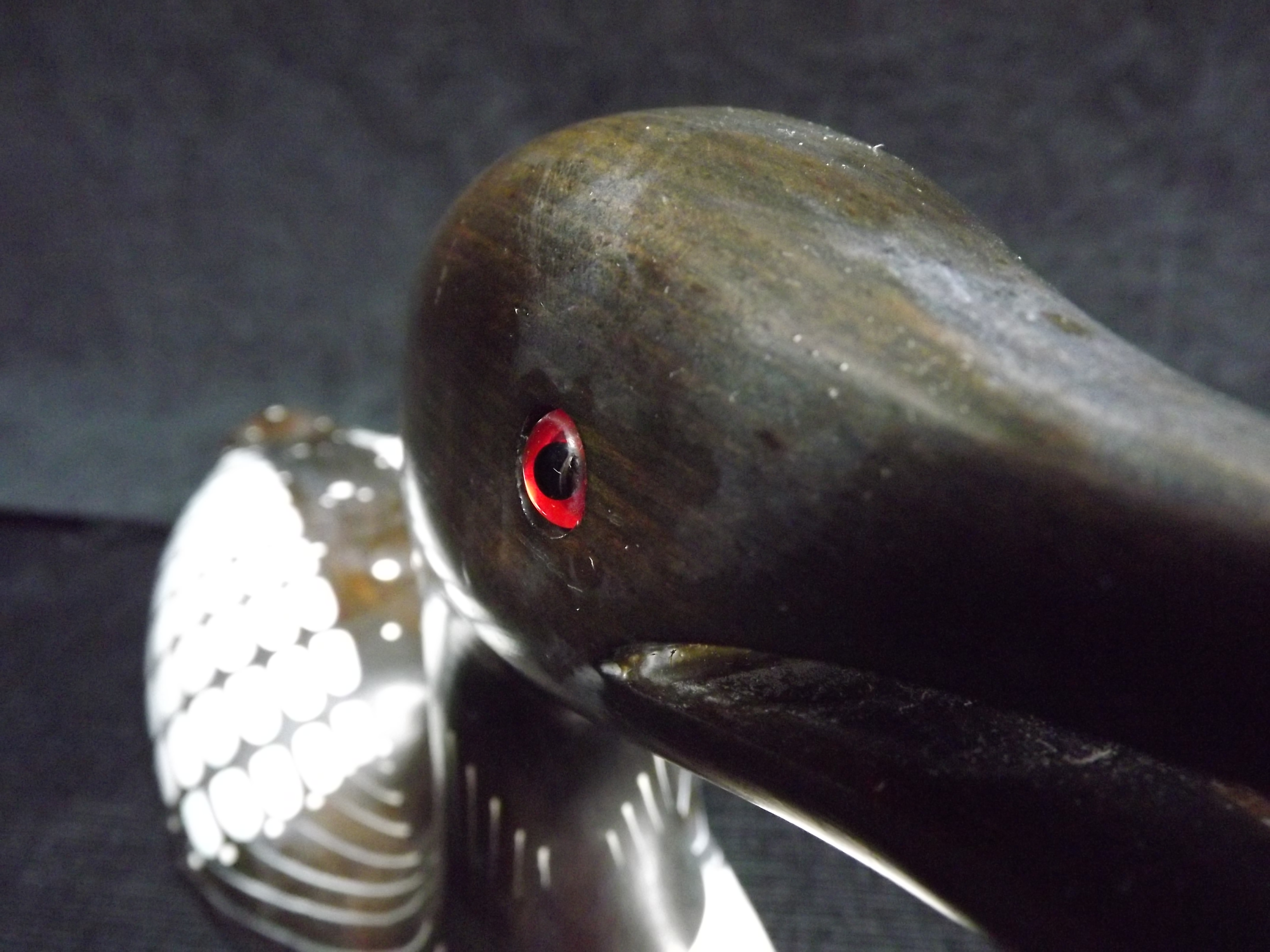 Canada Detlef Freese 'Calling Loon' - Carved Wooden Decoy Diver Bird 1990. Wooden detachable Fish in - Image 4 of 7